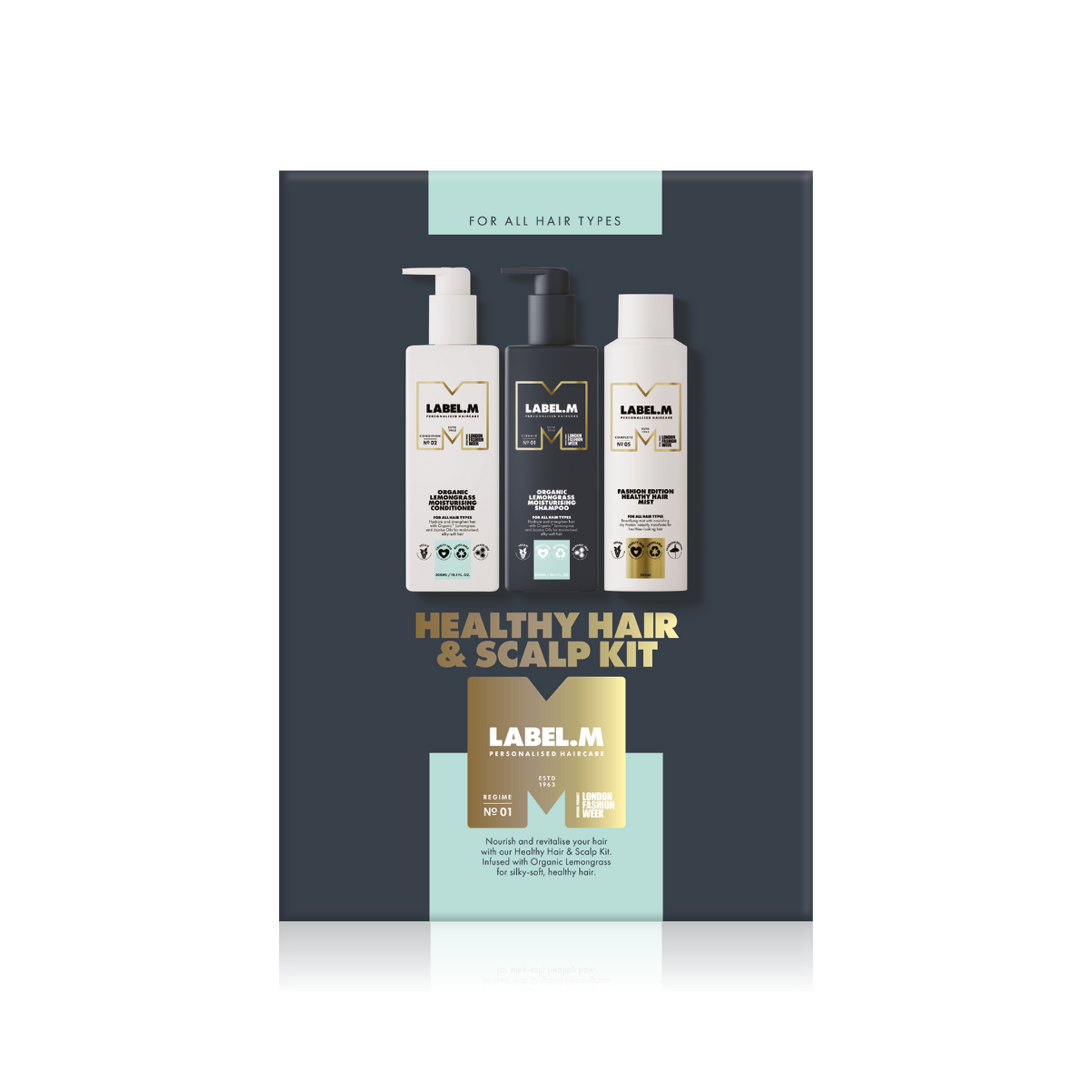 Healthy Hair & Scalp Kit